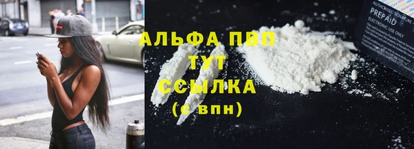 амф Беломорск